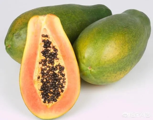 投我以木瓜的木瓜是什么