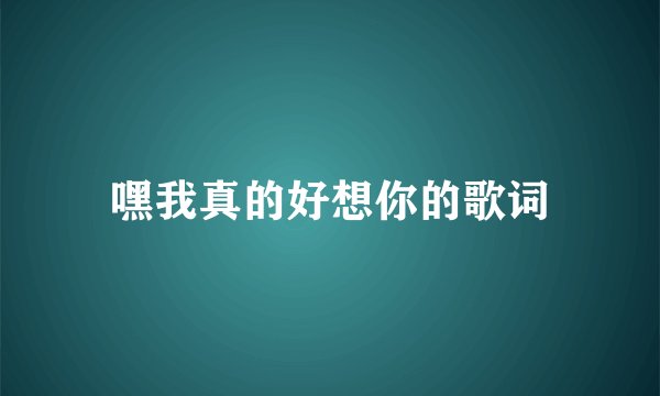 嘿我真的好想你的歌词