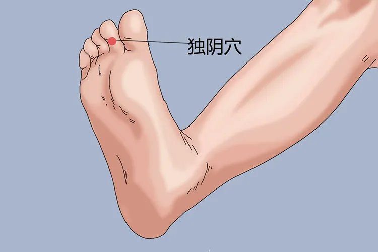 脚底穴位图