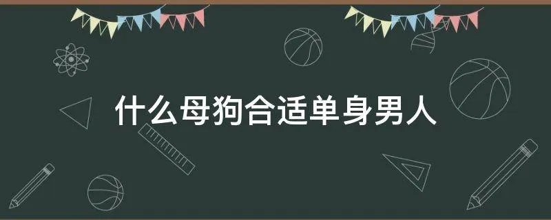 什么母狗合适单身男人