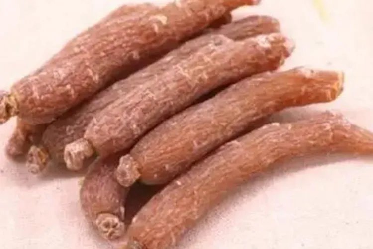 真正野生人参图片