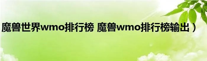 魔兽世界wmo排行榜 魔兽wmo排行榜输出）