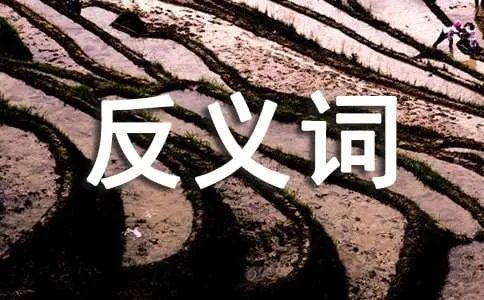 波涛汹涌的反义词