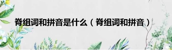 脊组词和拼音是什么（脊组词和拼音）