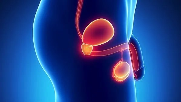 血尿酸偏高怎么办