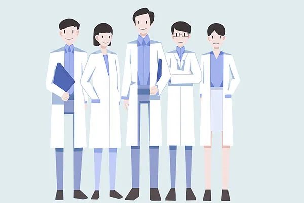 毛冬青的功效与作用