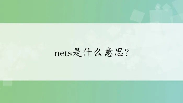 nets是什么意思？