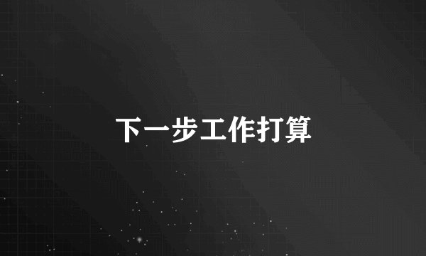下一步工作打算