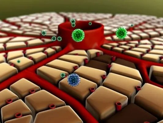 淋巴细胞比率是什么意思