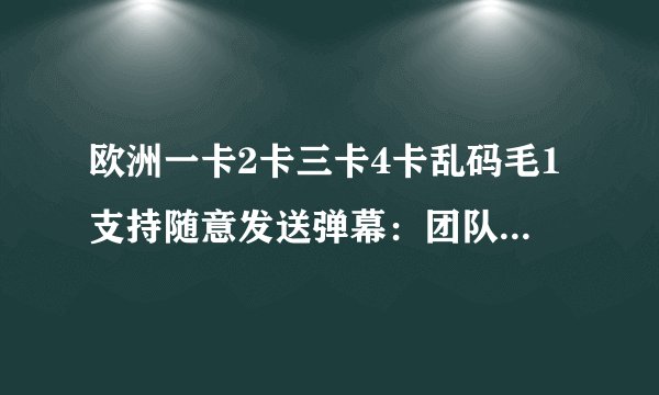 欧洲一卡2卡三卡4卡乱码毛1支持随意发送弹幕：团队的辛勤工作和奉献精神