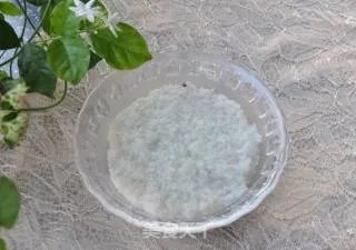 炼奶什锦八宝饭