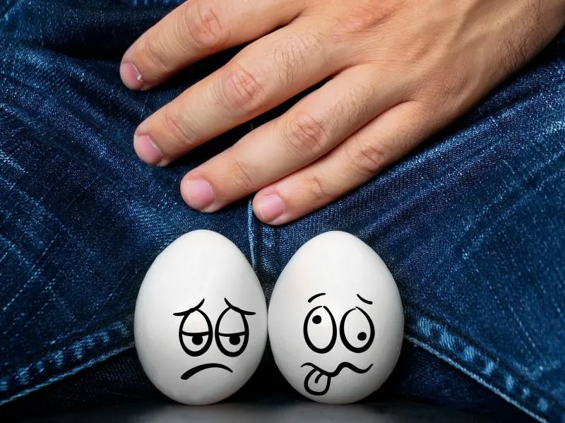 野菊花栓的作用