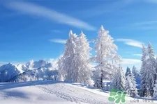 下雪天会打雷吗？下雪天为什么会大雷？