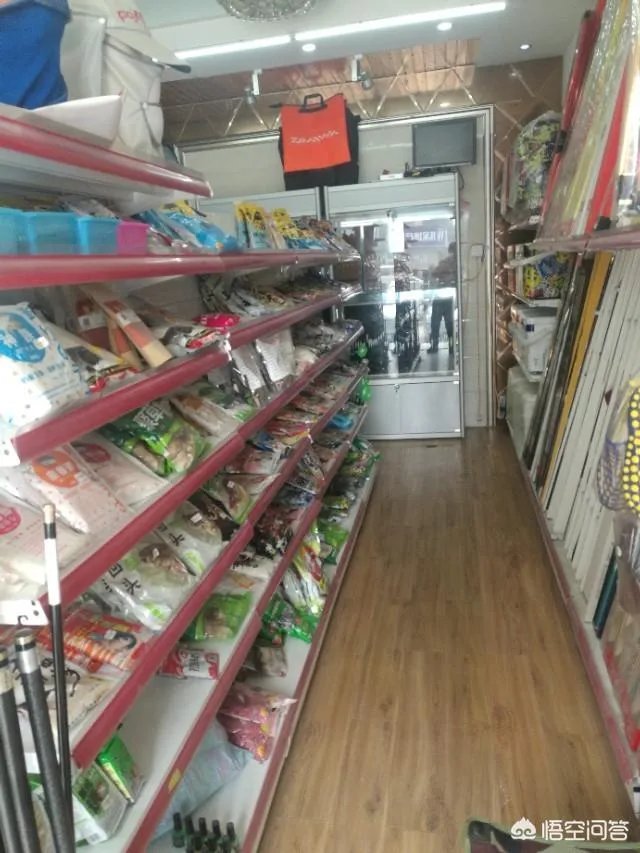 开个渔具店怎么样?