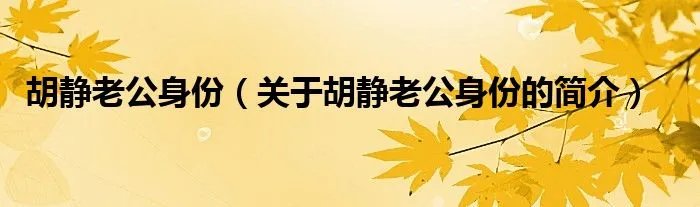 胡静老公身份（关于胡静老公身份的简介）