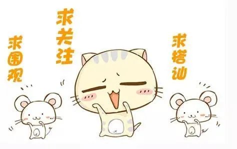 有哪些小清新歌曲推荐？