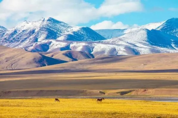 中国面积最大的十大省份，世界屋脊排第二，第一是100多个北京