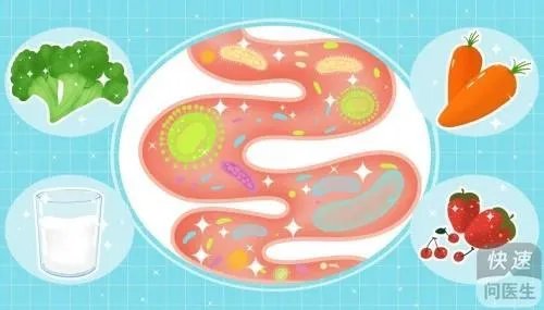 上班族肠胃不好总腹泻，lifespace益生菌粉来帮您