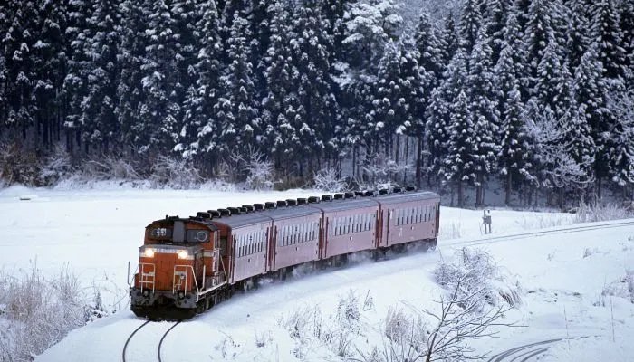 数九是几天一个九 数九天一共多少天