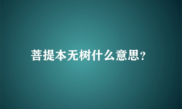 菩提本无树什么意思？