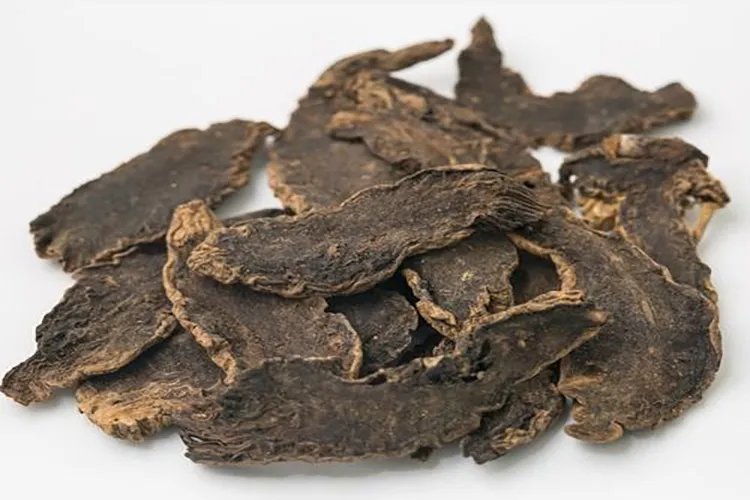 玄参图片大全高清