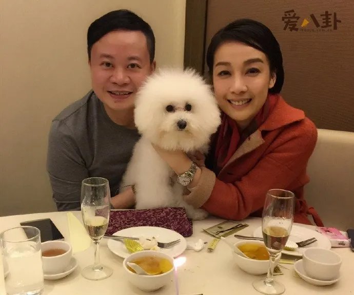 江美仪老公吴君祥离婚了 十几年的感情断了