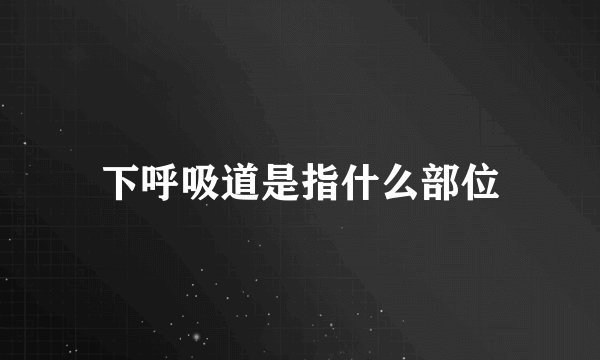 下呼吸道是指什么部位
