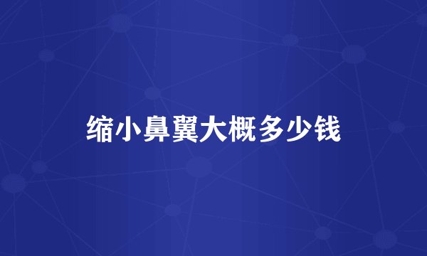 缩小鼻翼大概多少钱