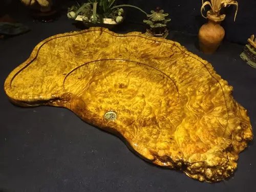 黄金樟是什么木头