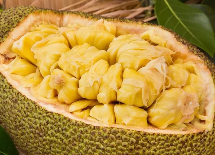 菠萝蜜的功效与作用