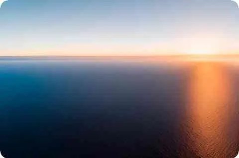 艾薇是什么意思