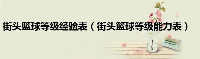 街头篮球等级经验表（街头篮球等级能力表）