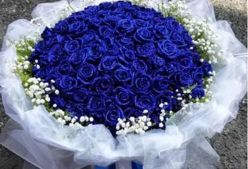 33朵玫瑰花代表什么意思 送玫瑰花几朵分别代表什么意思