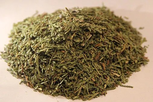 柏树叶的功效与作用