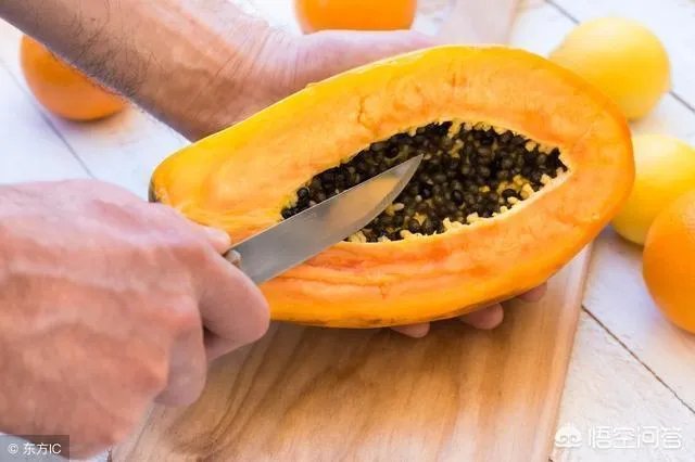 投我以木瓜的木瓜是什么