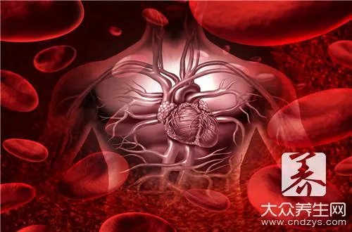 哪些食物有凉血效果？