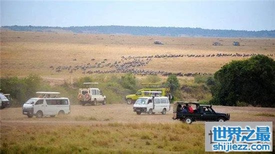 非洲人口最多的国家排行榜,尼日利亚1.9亿位居第一