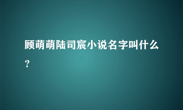 顾萌萌陆司宸小说名字叫什么？