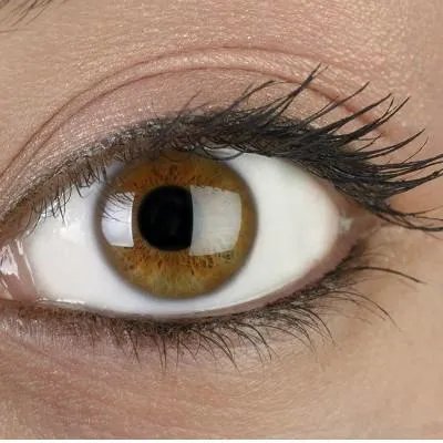 失明的原因是什么