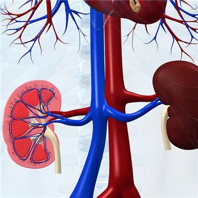 肾病有哪些症状?