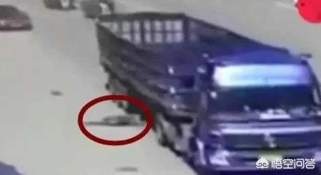 碰瓷失败被压死