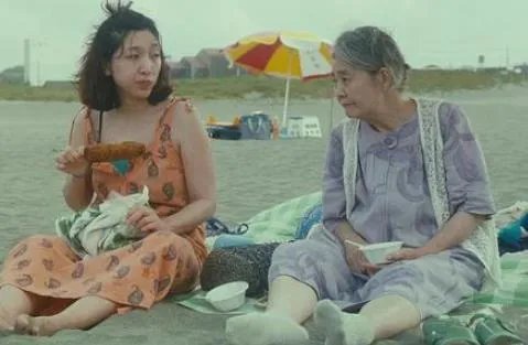 小偷家族剧情详解 小偷家族解析影评