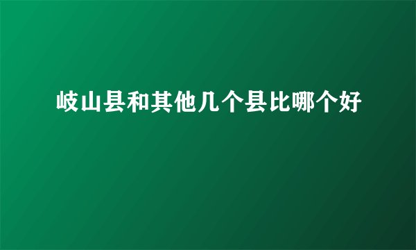岐山县和其他几个县比哪个好