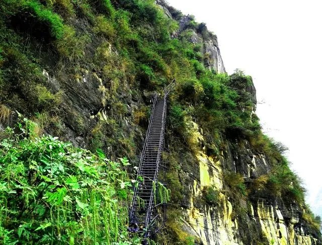 四川悬崖村有人去过吗？