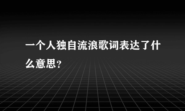 一个人独自流浪歌词表达了什么意思？