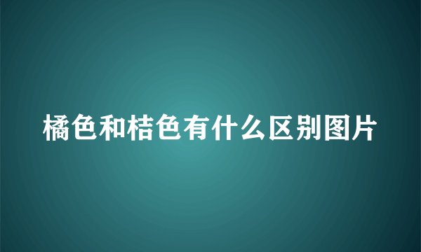橘色和桔色有什么区别图片
