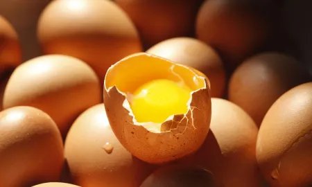 sunny side up是什么意思