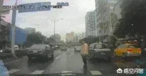 碰瓷失败被压死