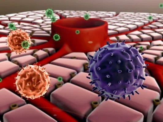 炭疽病毒的分类