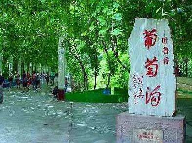 新疆吐鲁番葡萄沟资料有哪些？